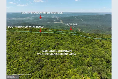 Lot 347 South Branch Mountain, Moorefield, WV 26836 - Photo 4