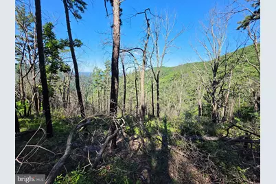 Lot 75 Hunters Ridge Trail, Moorefield, WV 26836 - Photo 12