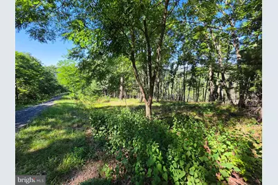 Lot 75 Hunters Ridge Trail, Moorefield, WV 26836 - Photo 4