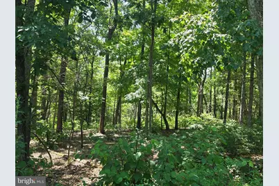 Lot 75 Hunters Ridge Trail, Moorefield, WV 26836 - Photo 38