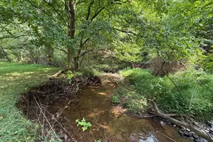 3 12 Ac Lot 2 Upper Skaggs Run Rd, Baker, WV 26801 - Photo 1