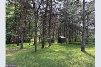 3.12 Ac Lot 2 Upper Skaggs Run Rd, Baker, WV 26801 - Photo 6