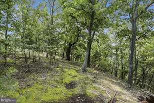 564 Highland Springs Rd, Moorefield, WV 26836 - Photo 8