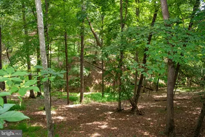 689 Snyders Ridge Road, Mathias, WV 26812 - Photo 104