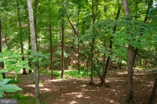 689 Snyders Ridge Rd, Mathias, WV 26812 - Photo 104
