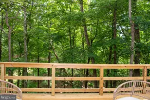 689 Snyders Ridge Rd, Mathias, WV 26812 - Photo 86
