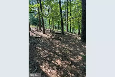 296 Hunting Ridge Road, Mathias, WV 26812 - Photo 16