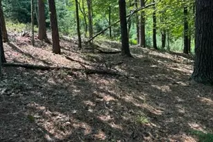 296 Hunting Ridge Rd, Mathias, WV 26812 - Photo 16