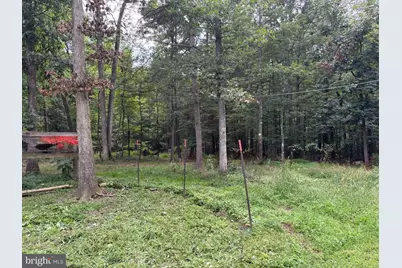730 Grizzly Road, Mathias, WV 26812 - Photo 44