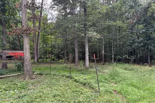 730 Grizzly Rd, Mathias, WV 26812 - Photo 44