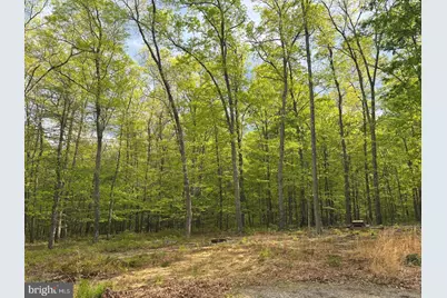 64 Trout Pass Park Road, Mathias, WV 26812 - Photo 6