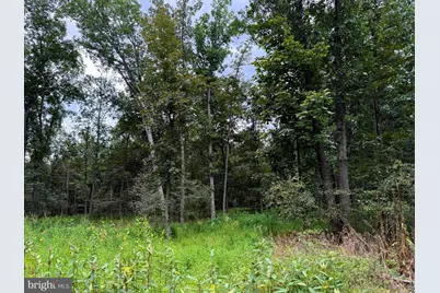 6859 US Highway 220 N, Old Fields, WV 26845 - Photo 78