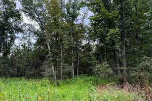 6859 US Highway 220 N, Old Fields, WV 26845 - Photo 78