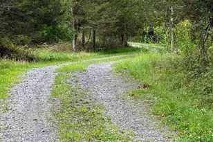 6859 US Highway 220 N, Old Fields, WV 26845 - Photo 76