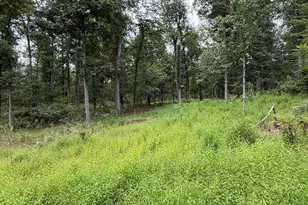 6859 US Highway 220 N, Old Fields, WV 26845 - Photo 82