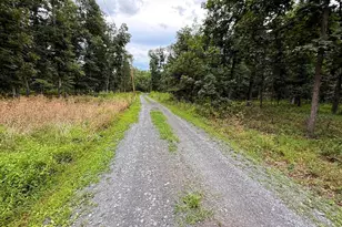 6859 US Highway 220 N, Old Fields, WV 26845 - Photo 38