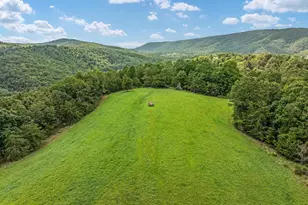 1396 Cullers Run Rd, Mathias, WV 26812 - Photo 74