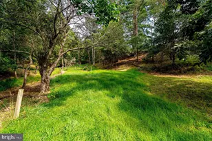 801 Moyers Ln, Mathias, WV 26812 - Photo 142