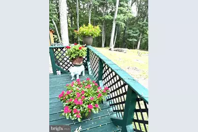 141 Matthews Loop, Mathias, WV 26812 - Photo 24
