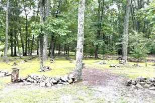 141 Matthews Loop, Mathias, WV 26812 - Photo 28