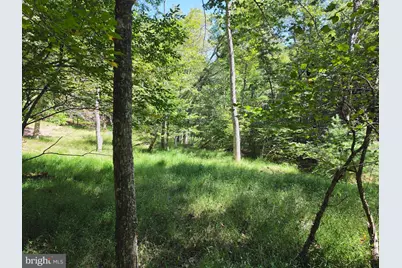1 Acre Adjoining Lost River State Park, Mathias, WV 26812 - Photo 18
