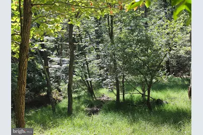 1 Acre Adjoining Lost River State Park, Mathias, WV 26812 - Photo 20