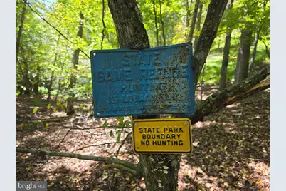 1 Acre Adjoining Lost River State Park, Mathias, WV 26812 - Photo 4