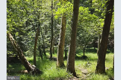 1 Acre Adjoining Lost River State Park, Mathias, WV 26812 - Photo 22