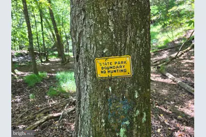 1 Acre Adjoining Lost River State Park, Mathias, WV 26812 - Photo 16