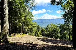 5620 High Knob Rd, Old Fields, WV 26845 - Photo 1