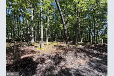 5620 High Knob Road, Old Fields, WV 26845 - Photo 14