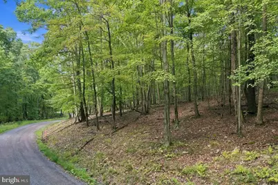 Lot 46 Old Poplar Drive, Baker, WV 26801 - Photo 4
