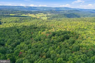 Lot 46 Old Poplar Drive, Baker, WV 26801 - Photo 14