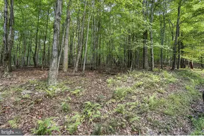Lot 46 Old Poplar Drive, Baker, WV 26801 - Photo 6