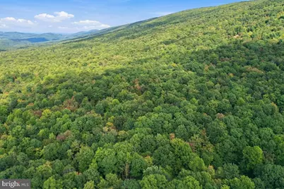 Lot 46 Old Poplar Drive, Baker, WV 26801 - Photo 16