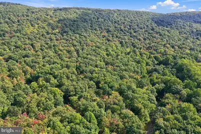 Lot 46 Old Poplar Drive, Baker, WV 26801 - Photo 12