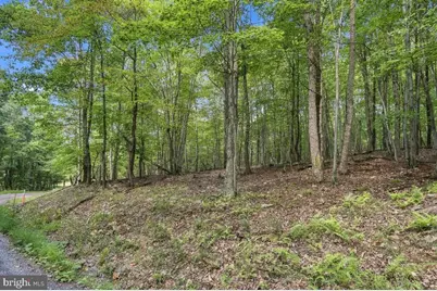 Lot 46 Old Poplar Drive, Baker, WV 26801 - Photo 8