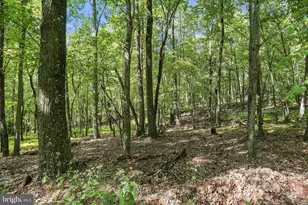 Lot 69 Red Maple Dr, Baker, WV 26801 - Photo 1