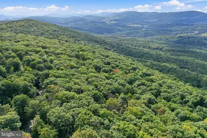 Lot 63 Hemlock Drive, Baker, WV 26801 - Photo 28