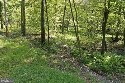 Lot 63 Hemlock Drive, Baker, WV 26801 - Photo 34