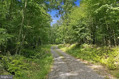 Lot 63 Hemlock Drive, Baker, WV 26801 - Photo 2