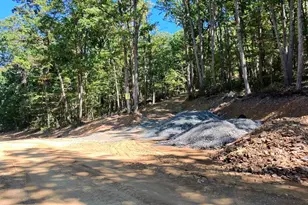 Lot 12 Pine Ridge Ext, Wardensville, WV 26851 - Photo 1