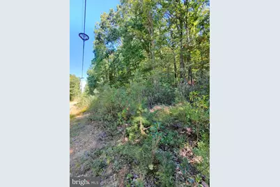 Lot 12 Pine Ridge Extension, Wardensville, WV 26851 - Photo 6