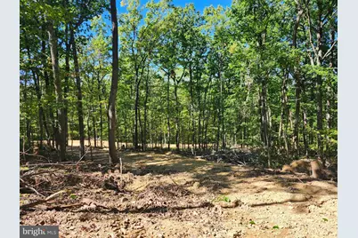 Lot 12 Pine Ridge Extension, Wardensville, WV 26851 - Photo 24