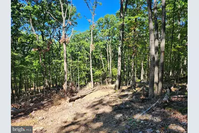 Lot 12 Pine Ridge Extension, Wardensville, WV 26851 - Photo 20