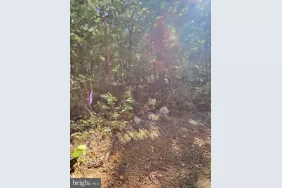 Lot 13 Pine Ridge Extension, Wardensville, WV 26851 - Photo 66