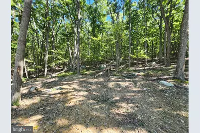Lot 13 Pine Ridge Extension, Wardensville, WV 26851 - Photo 42