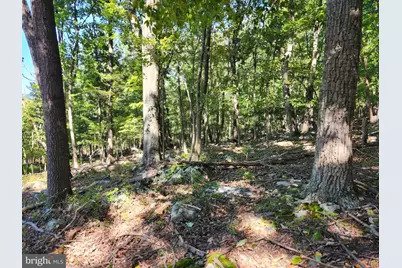 Lot 13 Pine Ridge Extension, Wardensville, WV 26851 - Photo 60