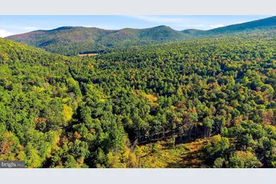 Lot 4 Brooke Trout Drive, Wardensville, WV 26851 - Photo 8