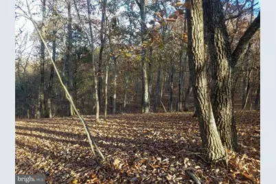 Acorn/Solitude, Romney, WV 26757 - Photo 6